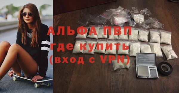 spice Каменка
