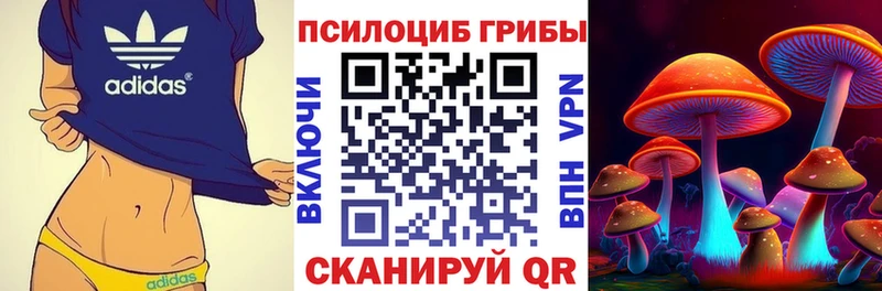 Купить закладки  Иланский  Галлюциногенные грибы прущие грибы 